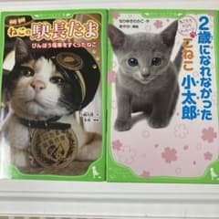 ねこの駅長たま びんぼう電車をすくったねこ・2歳になれなかったこねこ小太郎のサムネイル