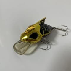 ジースケルトン　限定カラー ジースケルトン 限定カラー - メルカリ