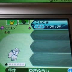 アローラロコン 夢理想6vのサムネイル
