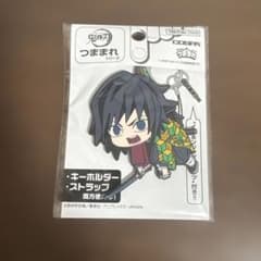 鬼滅の刃 冨岡義勇 つままれ