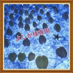 メレル レディース シューズのサムネイル