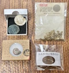 アンモナイトの化石　スコリア　化石ストラップキット　ポストカードセット３枚のサムネイル