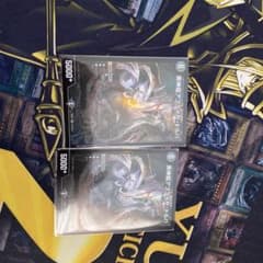 アブライゼ•ドルバ　ヒーローズレア　2枚セットのサムネイル