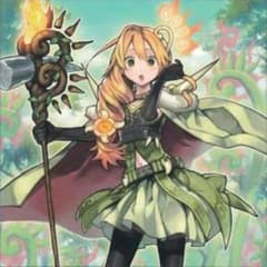 遊戯王 霊獣 デッキのサムネイル