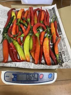 新鮮　赤唐辛子2種類　500グラムのサムネイル