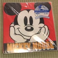ディズニーアルバムケースのサムネイル
