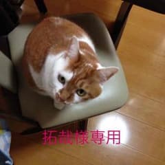 拓哉さま 専用 11/25迄のサムネイル