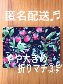 お手入れ楽々　移動ポケット　やや大きめ 苺バスケットのサムネイル