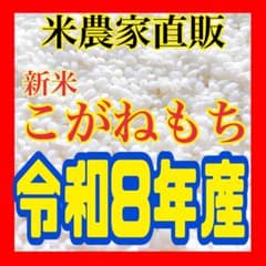 農家直販 減農薬 令和8年 こがねもち もち米 新米 約1キロ 白米 玄米も