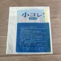 【新品未開封】小コレ！2025 ドラえもん　スライダークリアポーチのサムネイル