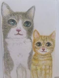 色鉛筆手書き猫ちゃんイラスト〜なかよし〜のサムネイル