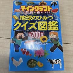 わっしょい様 リクエスト 2点 まとめ商品のサムネイル