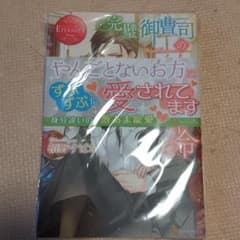 完璧御曹司の結婚命令 Risa & Koutaroのサムネイル