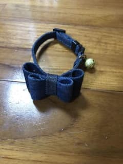 猫 首輪のサムネイル