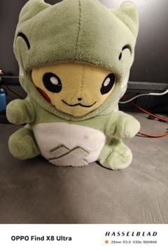 K*s様 ポケモン ピカチュウ みがわりぬいぐるみ 着ぐるみ ポケパルレのサムネイル