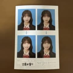 古園井寧々 seju 証明写真のサムネイル