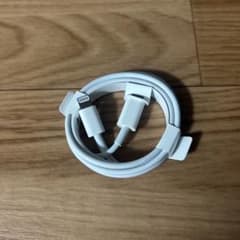 Apple Lightningケーブル 標準長さのサムネイル