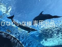 ひなりいな様専用ページのサムネイル