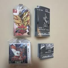 Pokémon Package & Cartridge Keychain Y Shield