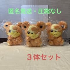 포켓 몬스터도 푹 따끈따끈 치유 봉제인형 <히메구마> 3장 세트
