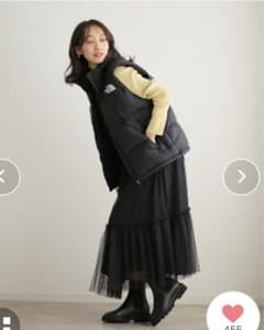 THE NORTH FACE ダウンベストのサムネイル