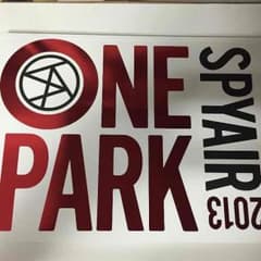 SPYAIR one park 2013のサムネイル