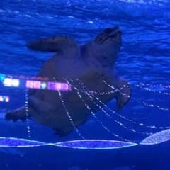 s_j_d様専用のサムネイル