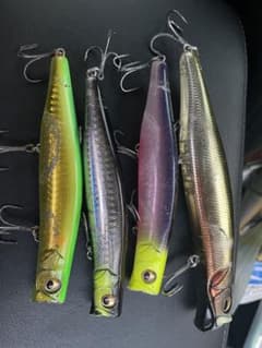 カゲロウ155 カゲロウ124のサムネイル