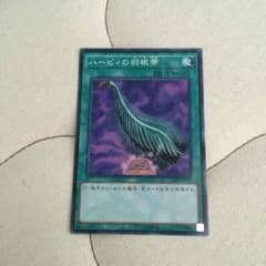ハーピィの羽根箒 CRのサムネイル