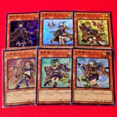 遊戯王 霊使い DK01 スターチップ 絵違い スーパーレア 6種セット