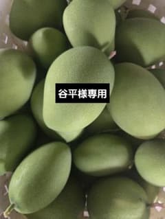 摘果マンゴーのサムネイル