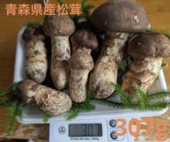 青森県産 松茸 マツタケ 307g 初物！ - メルカリ