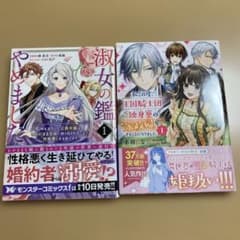 私この度王国騎士団独身寮の家政婦をすることになりました(1) 淑女の鑑やめましたのサムネイル