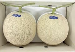 高知県産　マスクメロン 7玉入り 約7.4㎏（下箱込み） ④1番人気のサイズ！高知県産温室マスクメロン 2玉入り秀品約3.7㎏（下