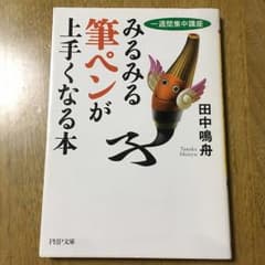 みるみる筆ペンが上手くなる本 一週間集中講座/田中鳴舟のサムネイル