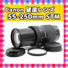 静音・高速AF❤️Canon EF-S 55-250mm STM❤️手振れ補正 静音・高速AF❤️Canon EF-S 55-250mm STM❤️手振れ補正 - メルカリ