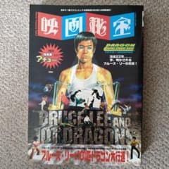 ブルース・リーと101匹ドラゴン大行進！ 映画秘宝【1995年発行版】のサムネイル