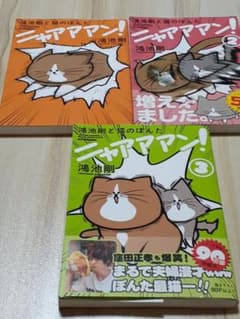 鴻池剛と猫のぽんた ニャアアアン！［３冊セット］のサムネイル