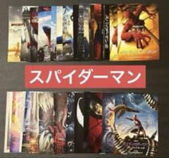 映画チラシ フライヤー スパイダーマン　大量セット