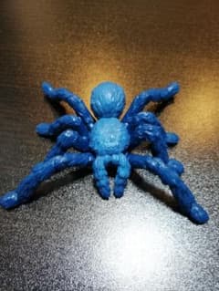 リアルなタランチュラのサムネイル