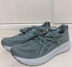ASICS GEL KAYANO31 【27.5cm】限定色・新品未使用のサムネイル