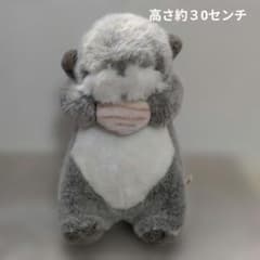 ぬいぐるみの三英 ラッコ ぬいぐるみ 約50cm 中古品 m28058051289_1.jpg?1778395296