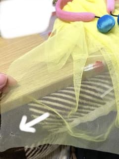 まりりん様のサムネイル