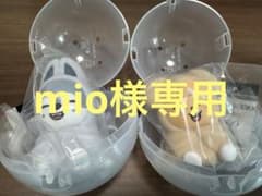 パピームのサムネイル