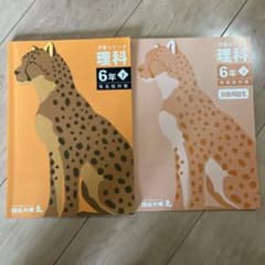 四谷大塚　理科 6年 下 有名校対策 予習シリーズのサムネイル