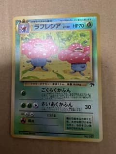 ラフレシア サザンアイランド - メルカリ