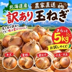 北海道産 農家直送 訳あり玉ねぎ 5kg 送料込みのサムネイル