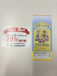 おもちゃ王国　軽井沢　フリーパス 大人用 2025年11月24日までのサムネイル