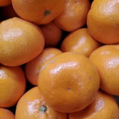 有田みかん大玉9キロのサムネイル