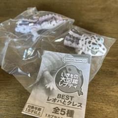 いきもの大図鑑 レプティのサムネイル